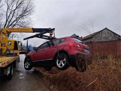 临沭楚雄道路救援